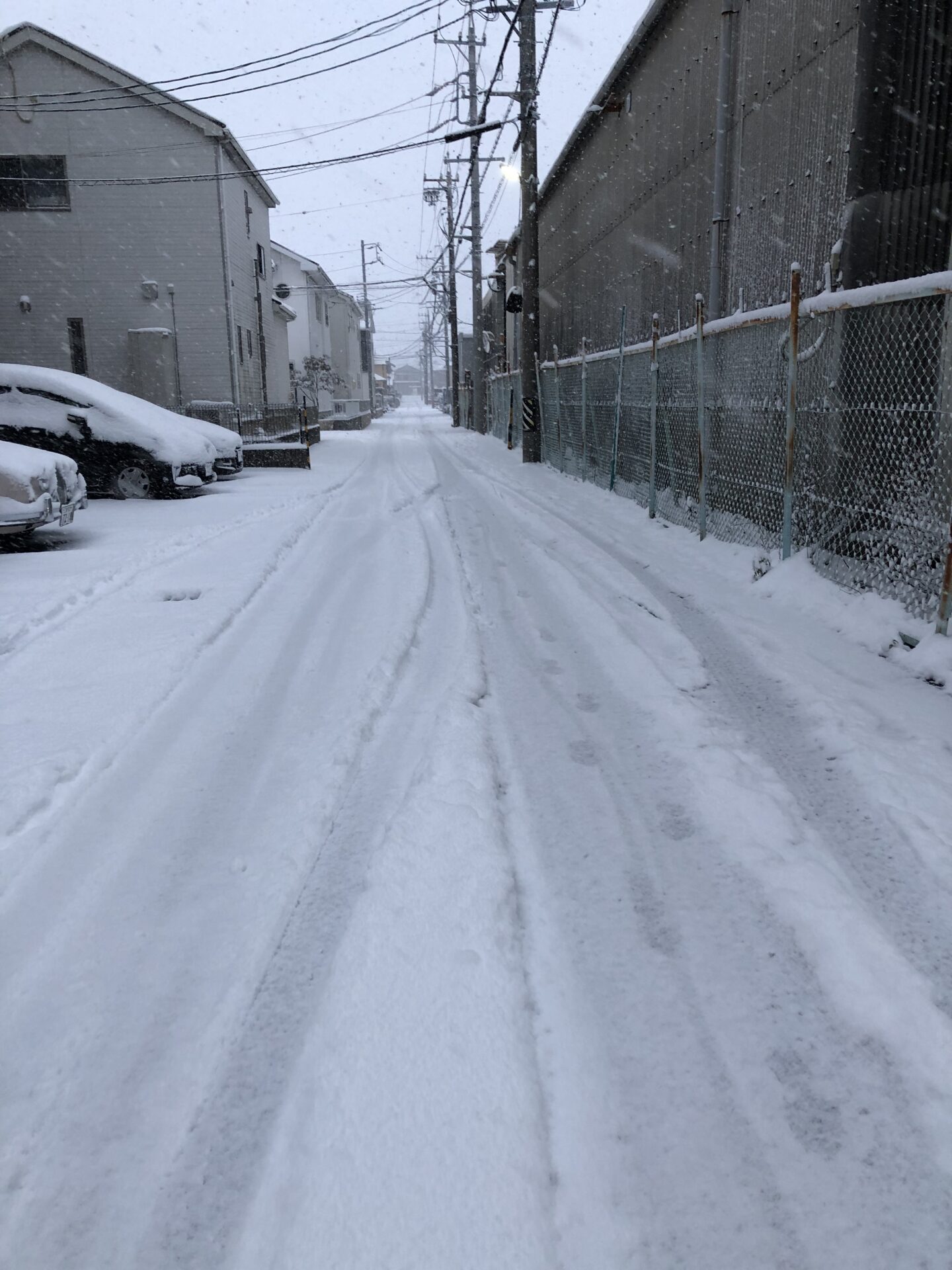 三重県四日市市ドライヘッドスパ Re:st レスト｜1月25日からの寒波によるレストの営業について;